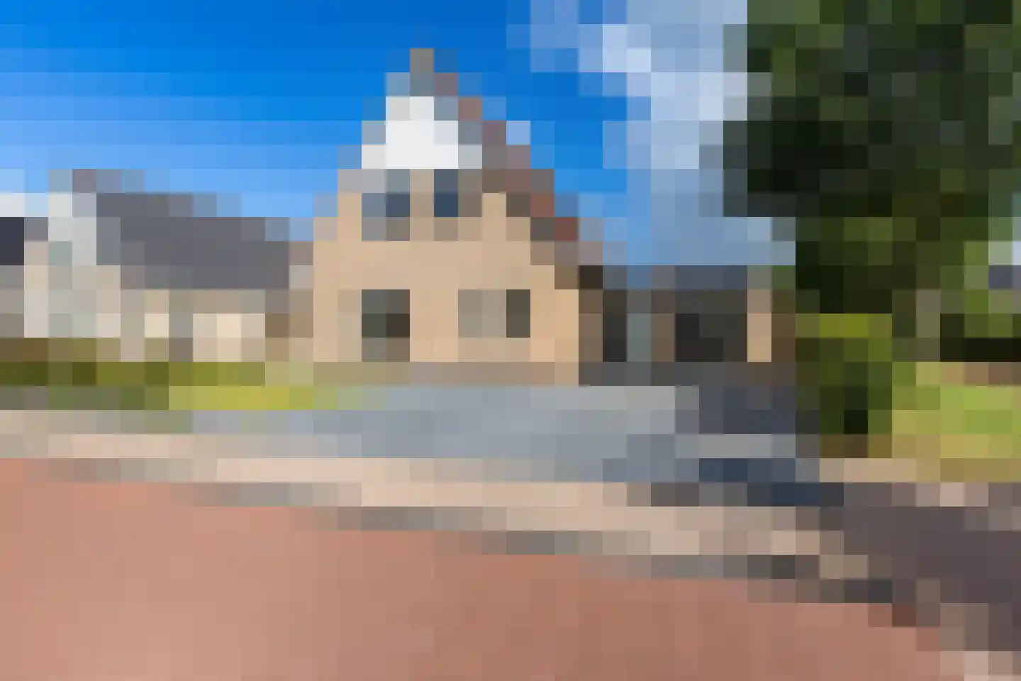 Eendekroos 80 Drachten thumbnail 7