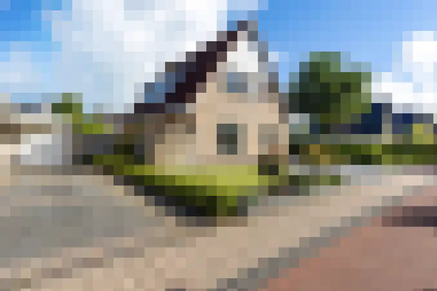 Eendekroos 80 Drachten thumbnail 9