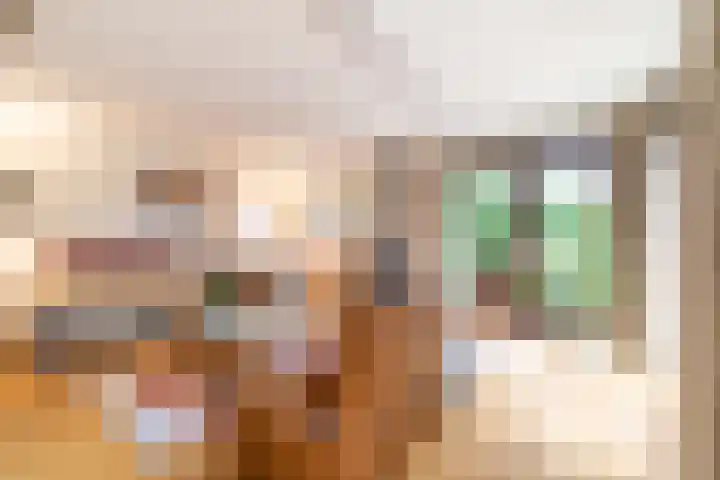 Eendenbrink 21 Den Haag thumbnail 10