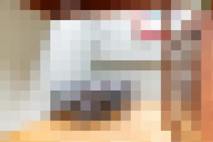 Eendenbrink 21 Den Haag thumbnail 11
