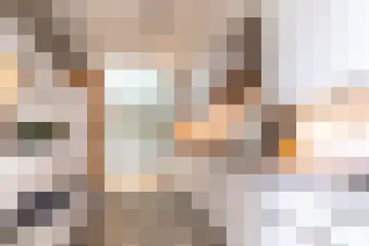 Eendenbrink 21 Den Haag thumbnail 17