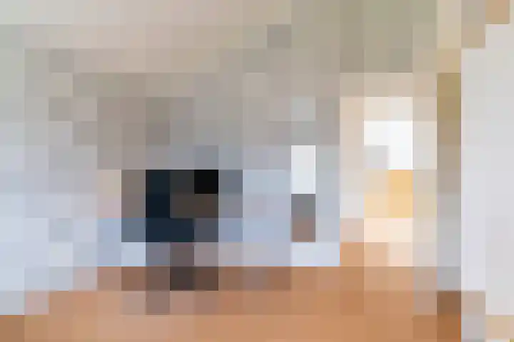 Eendenbrink 21 Den Haag thumbnail 26