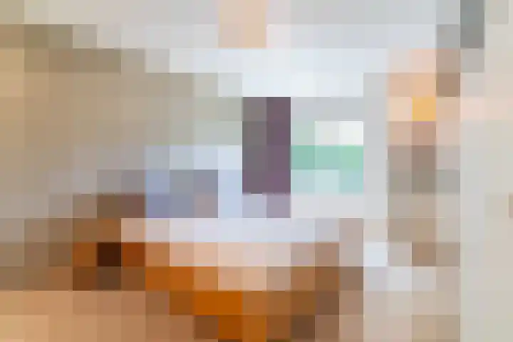 Eendenbrink 21 Den Haag thumbnail 32