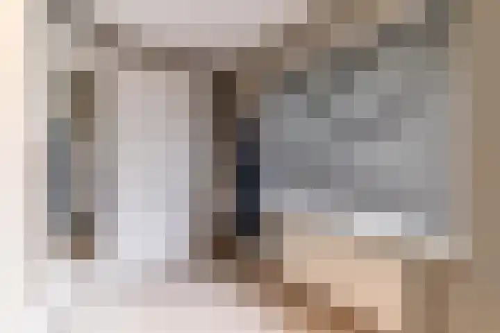 Eendenbrink 21 Den Haag thumbnail 34