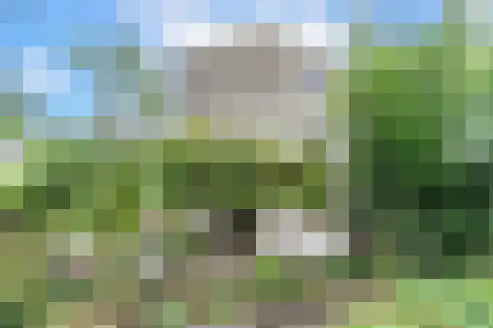 Eendenbrink 21 Den Haag thumbnail 41