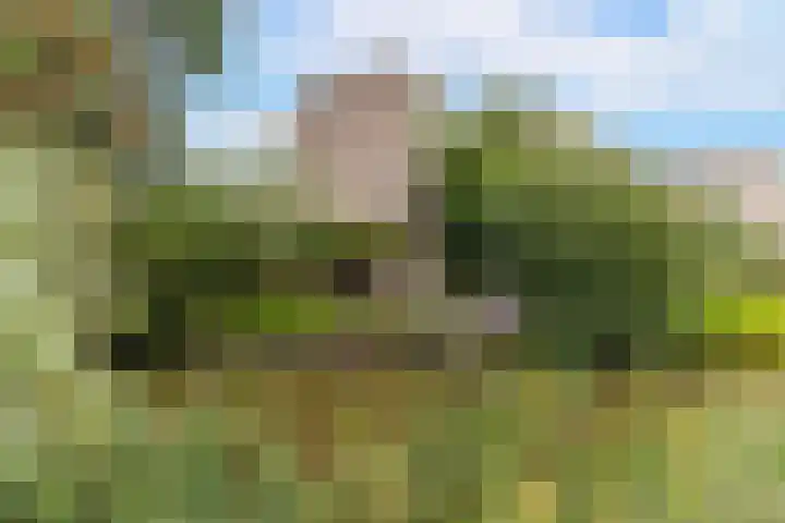 Eendenbrink 21 Den Haag thumbnail 42