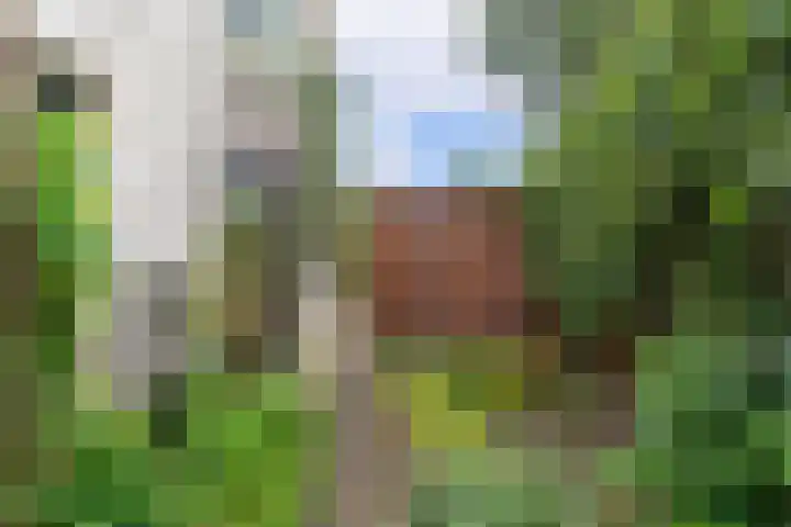 Eendenbrink 21 Den Haag thumbnail 43