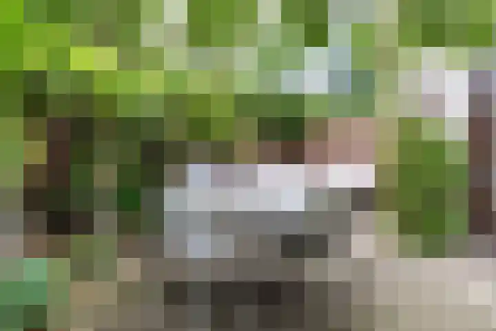 Eendenbrink 21 Den Haag thumbnail 44