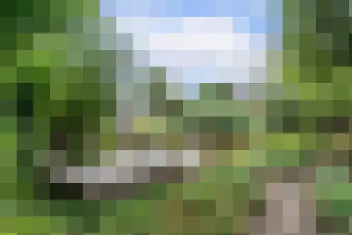 Eendenbrink 21 Den Haag thumbnail 47