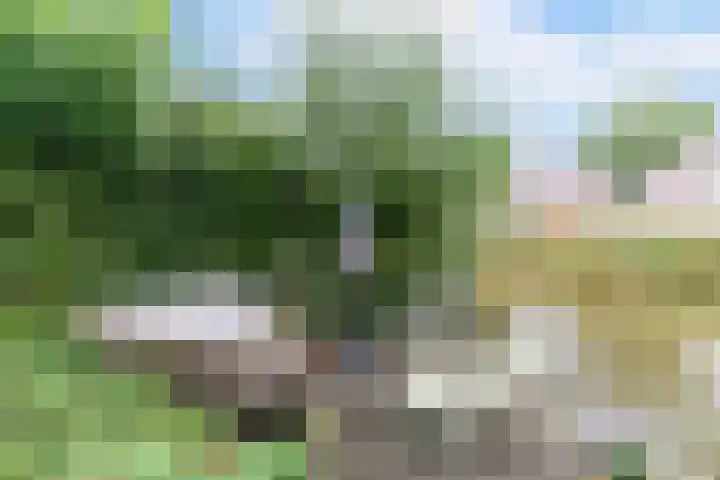 Eendenbrink 21 Den Haag thumbnail 48