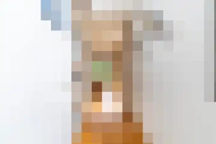 Eendenbrink 21 Den Haag thumbnail 5