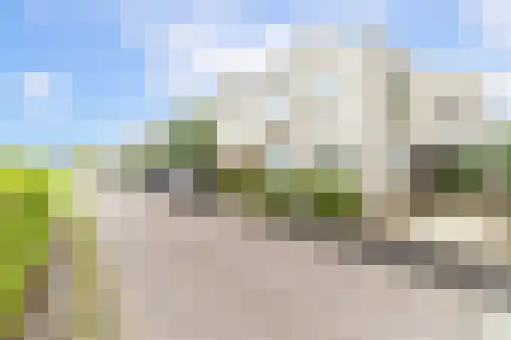 Eendenbrink 21 Den Haag thumbnail 50