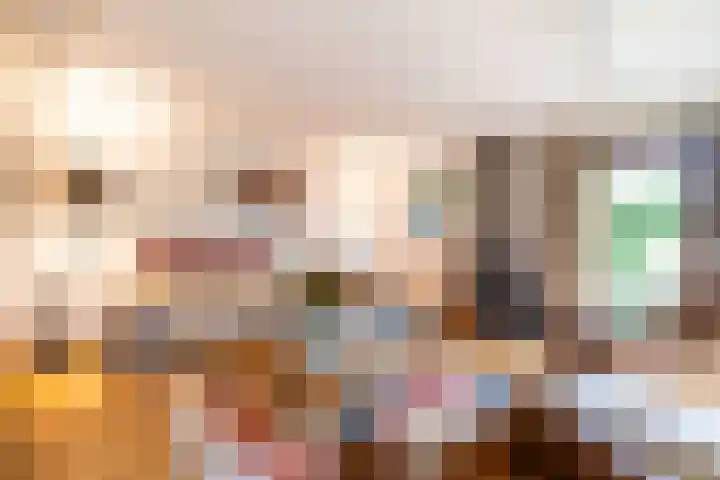 Eendenbrink 21 Den Haag thumbnail 9