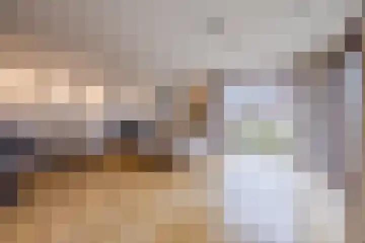 Eendenbrink 37 Den Haag thumbnail 10