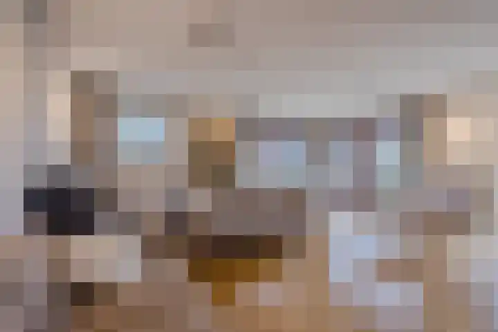 Eendenbrink 37 Den Haag thumbnail 12