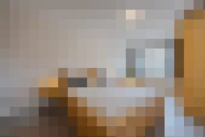 Eendenbrink 37 Den Haag thumbnail 19