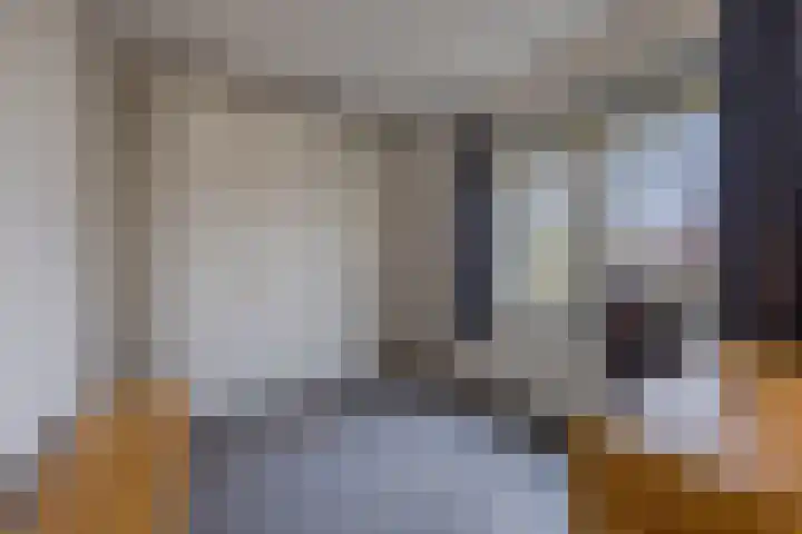 Eendenbrink 37 Den Haag thumbnail 21