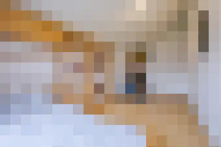 Eendenbrink 37 Den Haag thumbnail 22