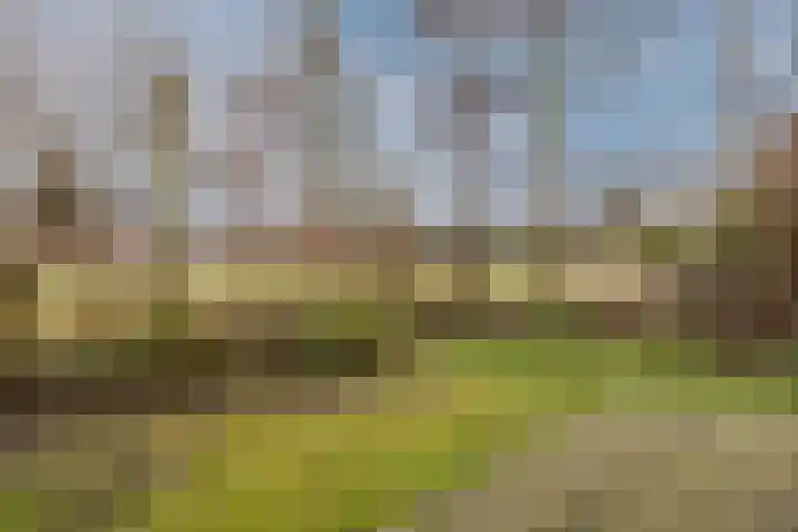 Eendenbrink 37 Den Haag thumbnail 31