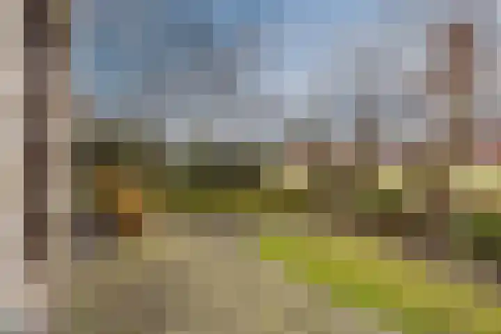 Eendenbrink 37 Den Haag thumbnail 32
