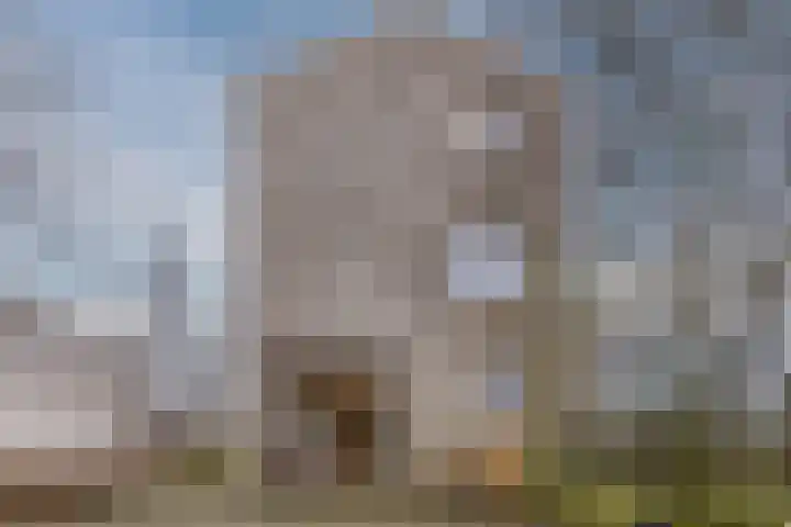 Eendenbrink 37 Den Haag thumbnail 33