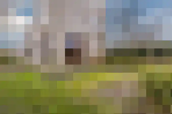 Eendenbrink 37 Den Haag thumbnail 34
