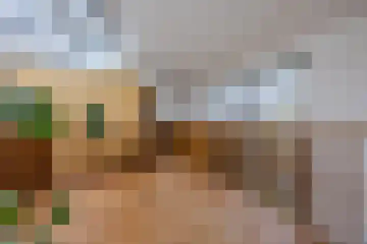 Eendenbrink 37 Den Haag thumbnail 5