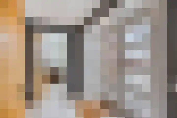 Eendenbrink 39 Den Haag thumbnail 22