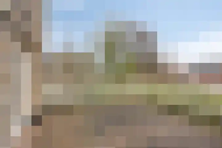 Eendenbrink 39 Den Haag thumbnail 33