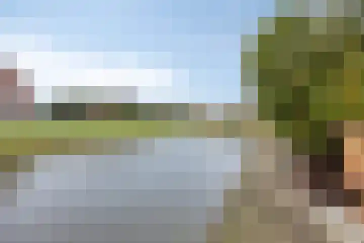 Eendenbrink 39 Den Haag thumbnail 4
