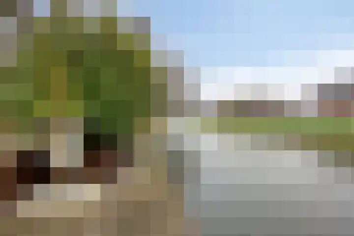 Eendenbrink 39 Den Haag thumbnail 62