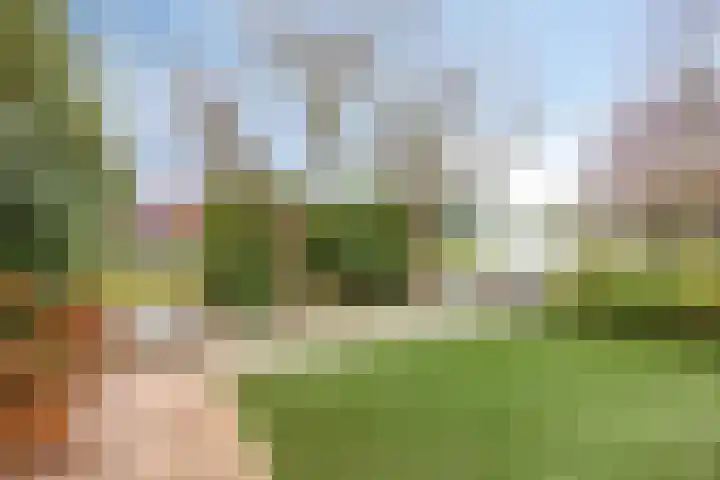 Eendenbrink 39 Den Haag thumbnail 64