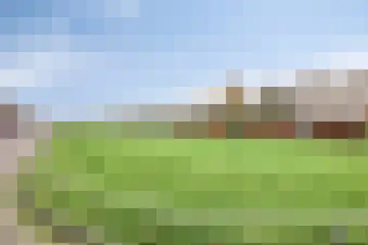 Eendenbrink 39 Den Haag thumbnail 68