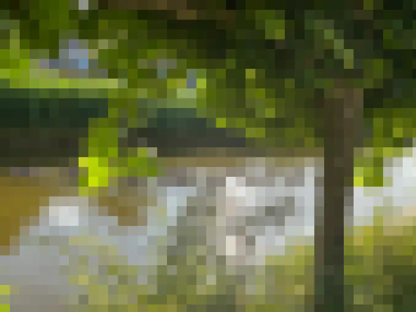 Eendenbrink 9 Den Haag thumbnail 15