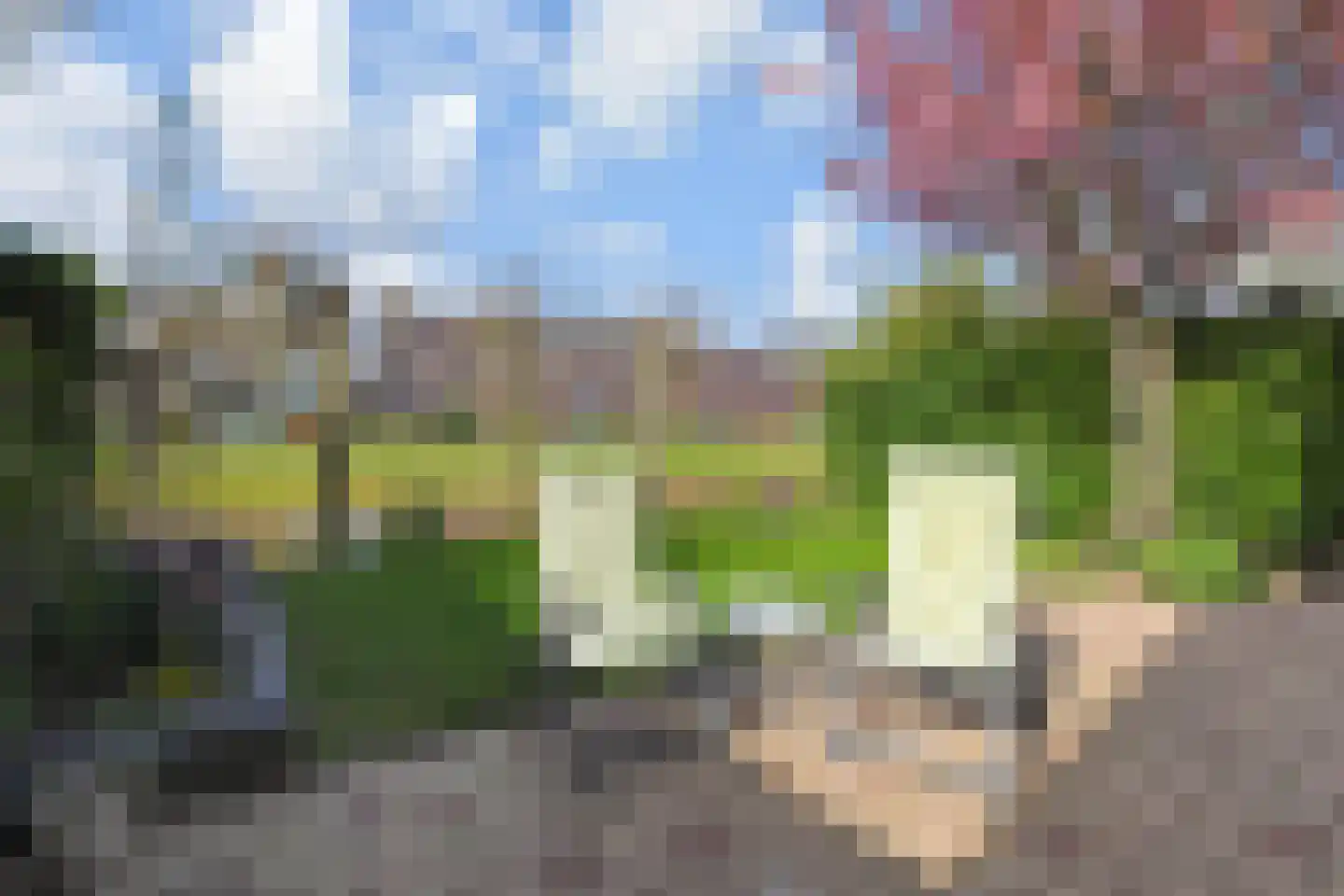 Eendenbrink 9 Den Haag thumbnail 17