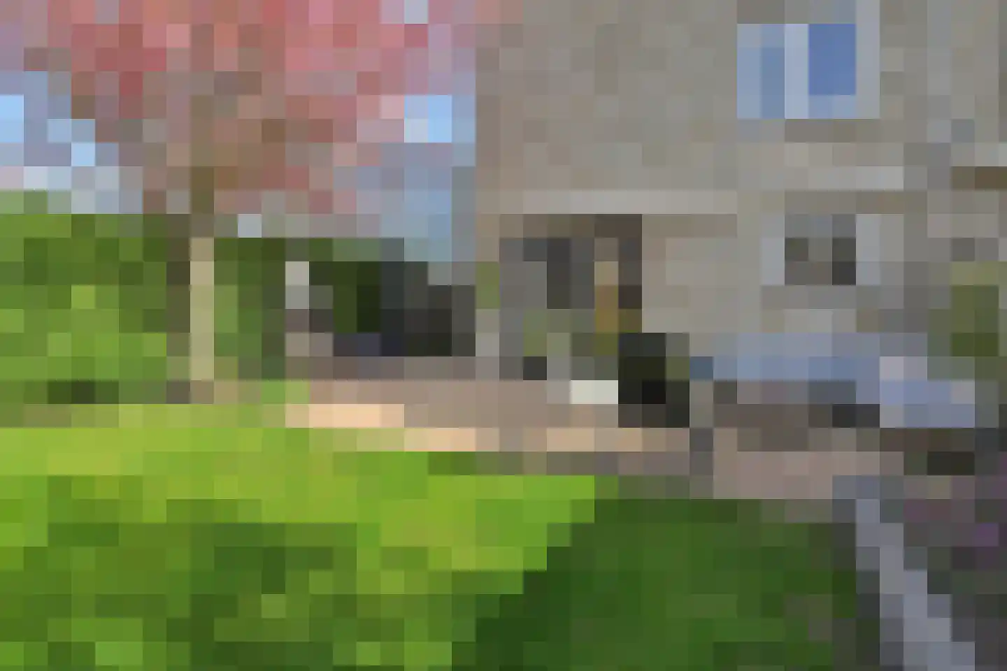 Eendenbrink 9 Den Haag thumbnail 18