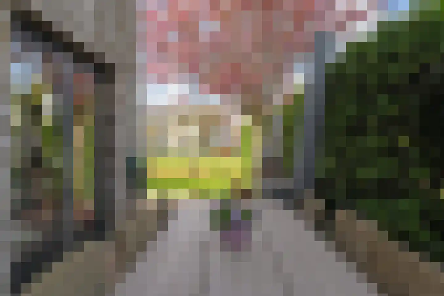 Eendenbrink 9 Den Haag thumbnail 20