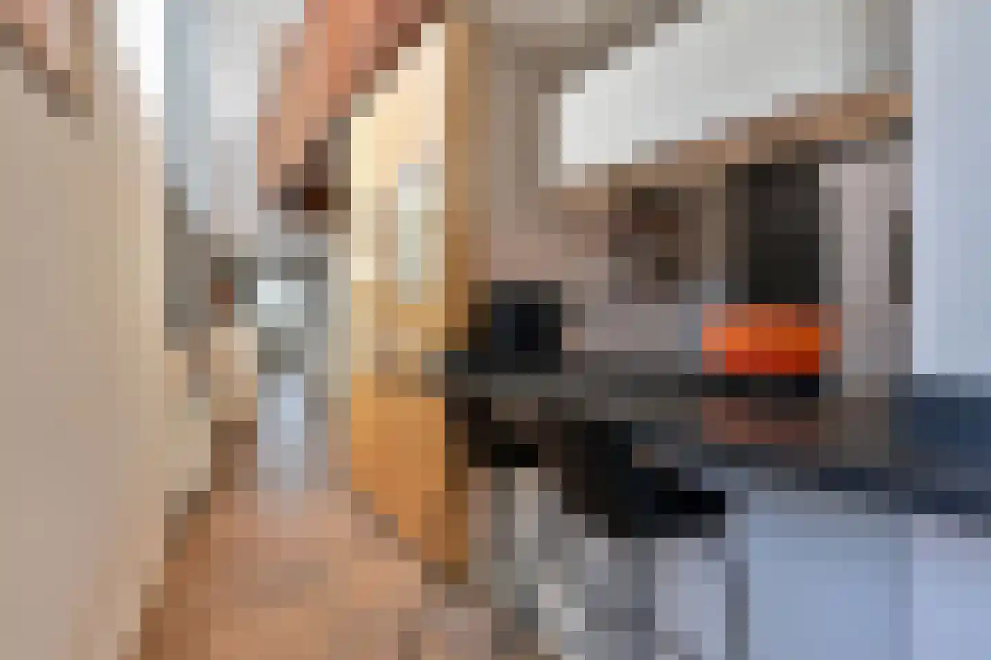 Eendenbrink 9 Den Haag thumbnail 23