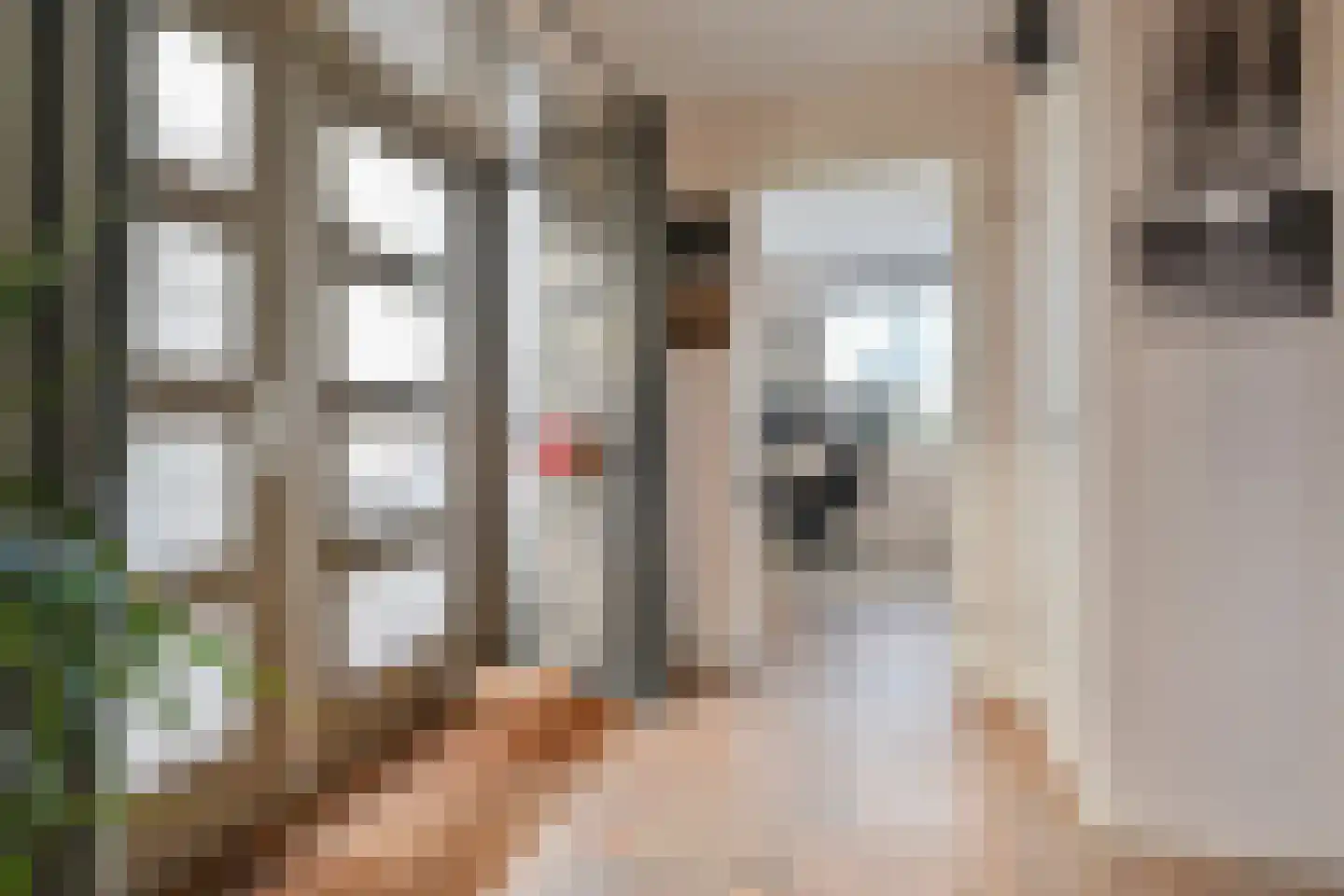 Eendenbrink 9 Den Haag thumbnail 26