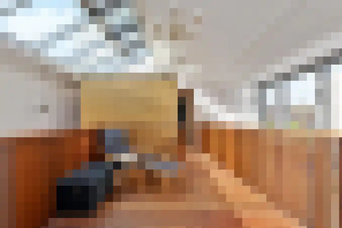 Eendenbrink 9 Den Haag thumbnail 32