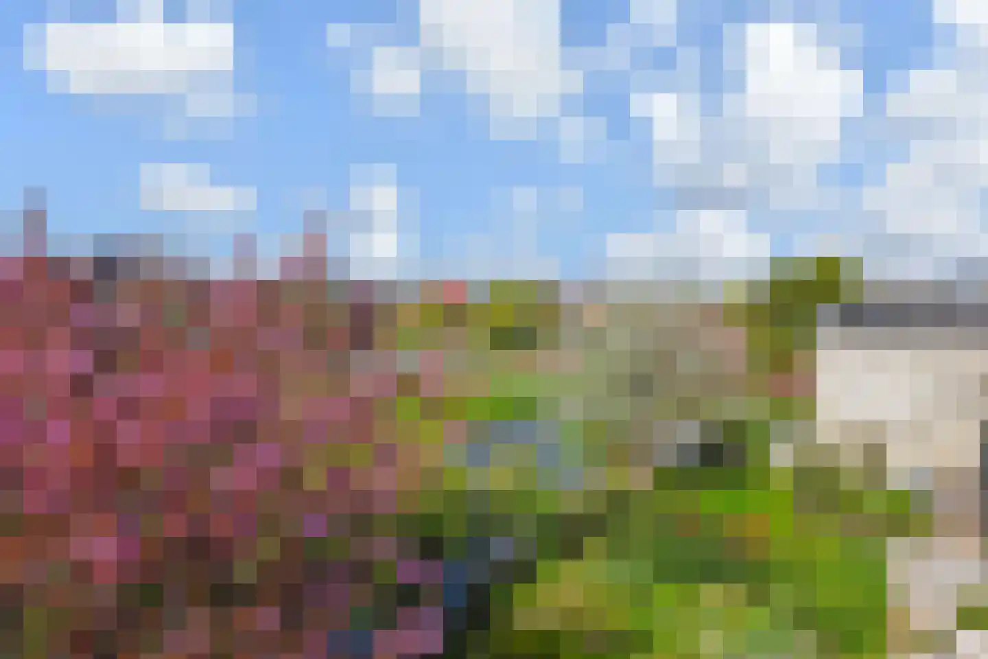 Eendenbrink 9 Den Haag thumbnail 37