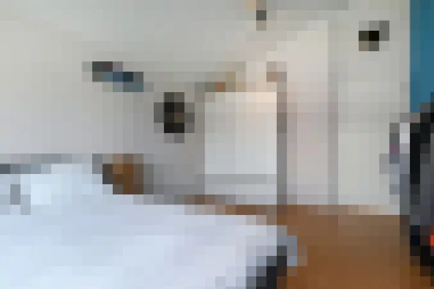 Eendenbrink 9 Den Haag thumbnail 48