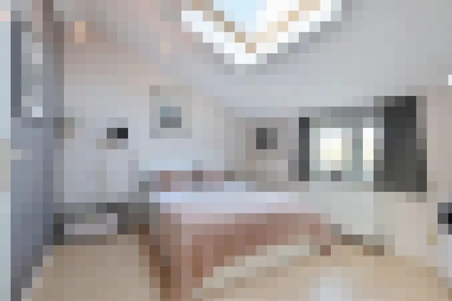 Eendenbrink 9 Den Haag thumbnail 54
