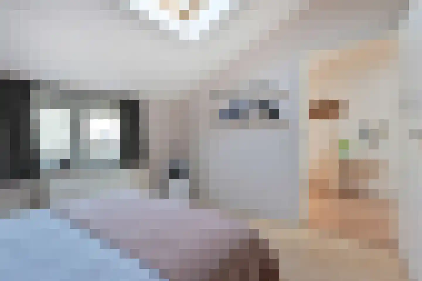 Eendenbrink 9 Den Haag thumbnail 56