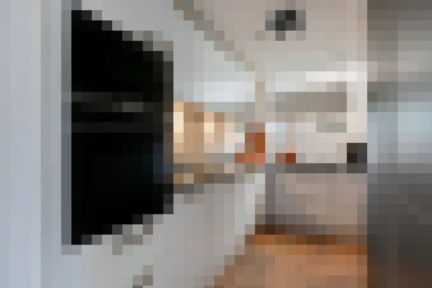 Eendenbrink 9 Den Haag thumbnail 7