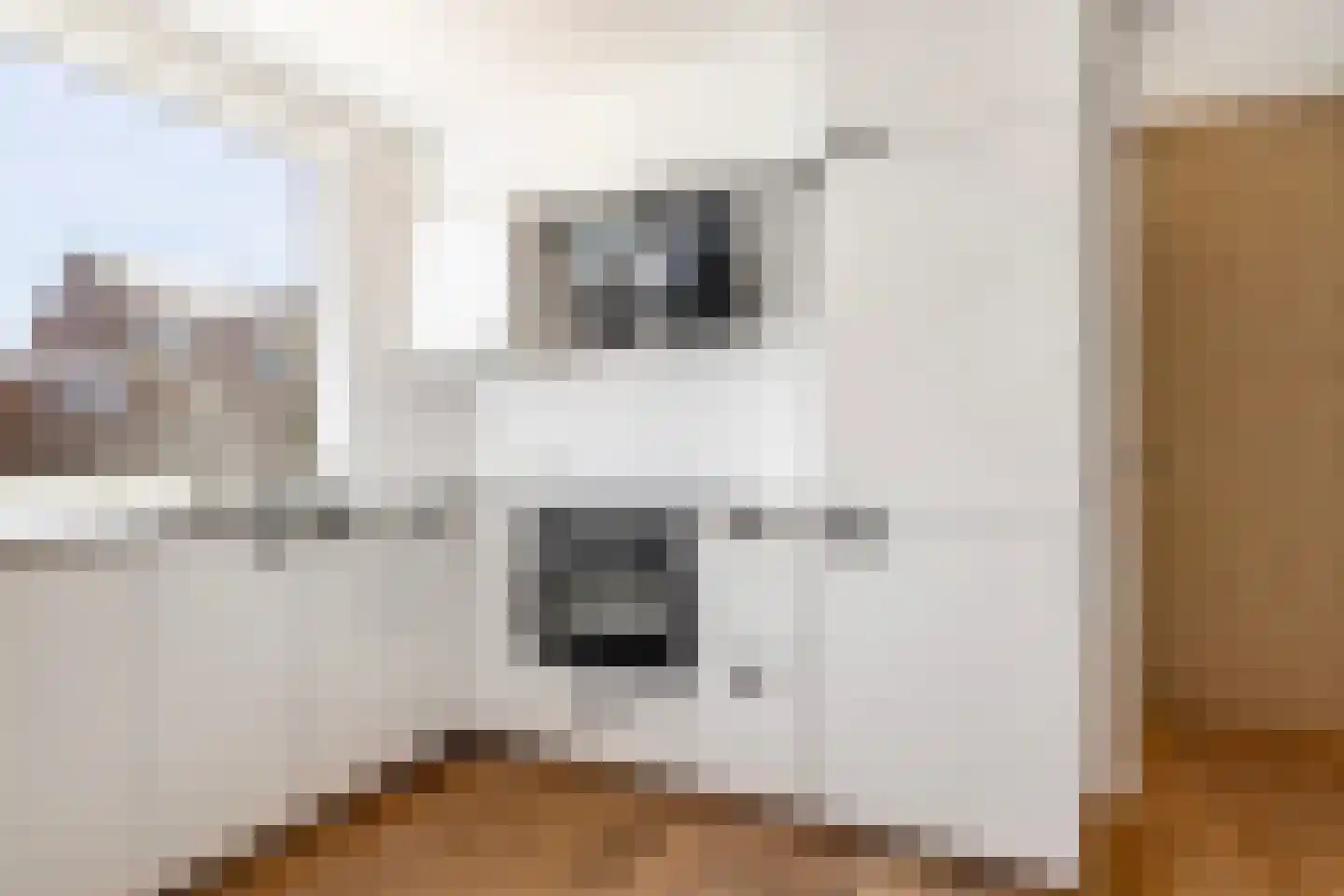 Eendendaal 20 Nieuwerkerk aan den IJssel thumbnail 17