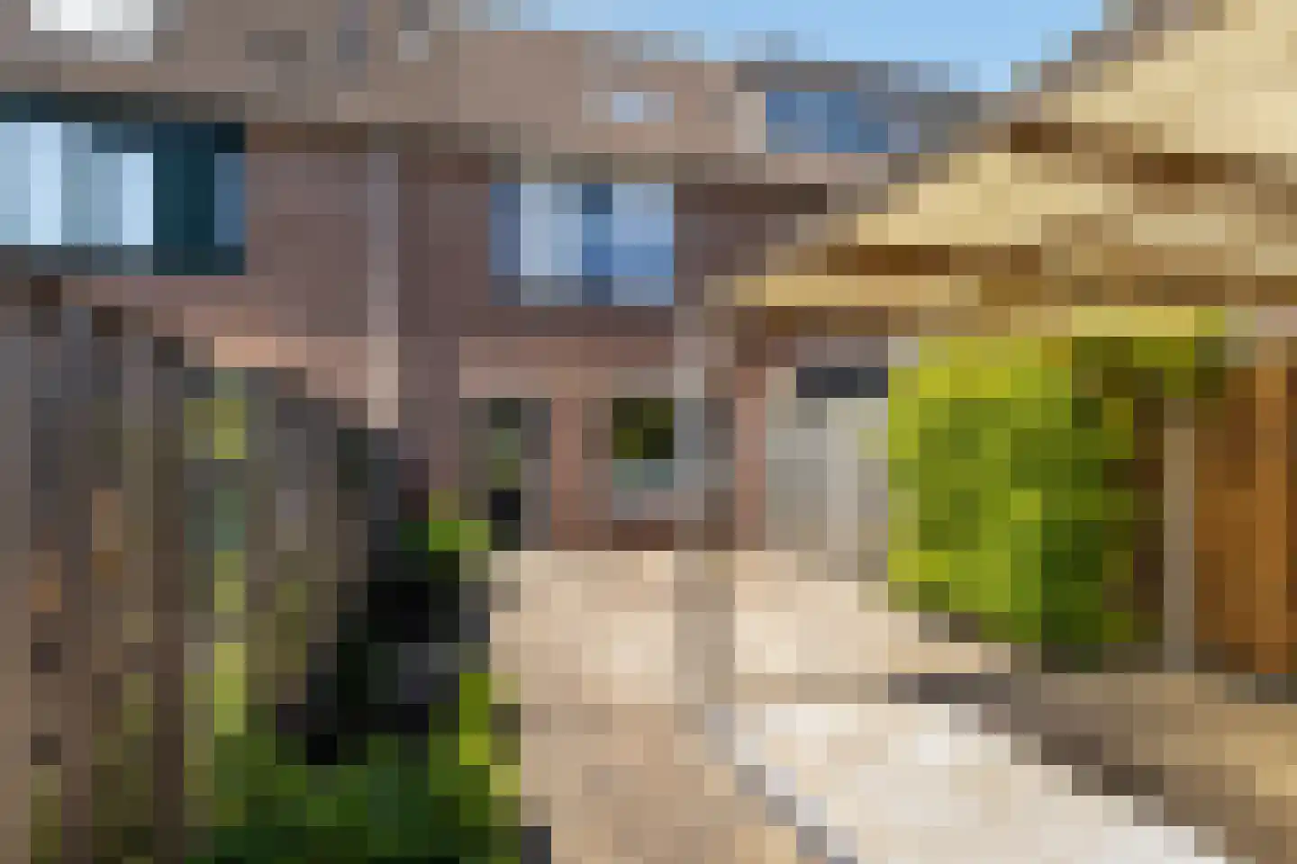 Eendendaal 20 Nieuwerkerk aan den IJssel thumbnail 34