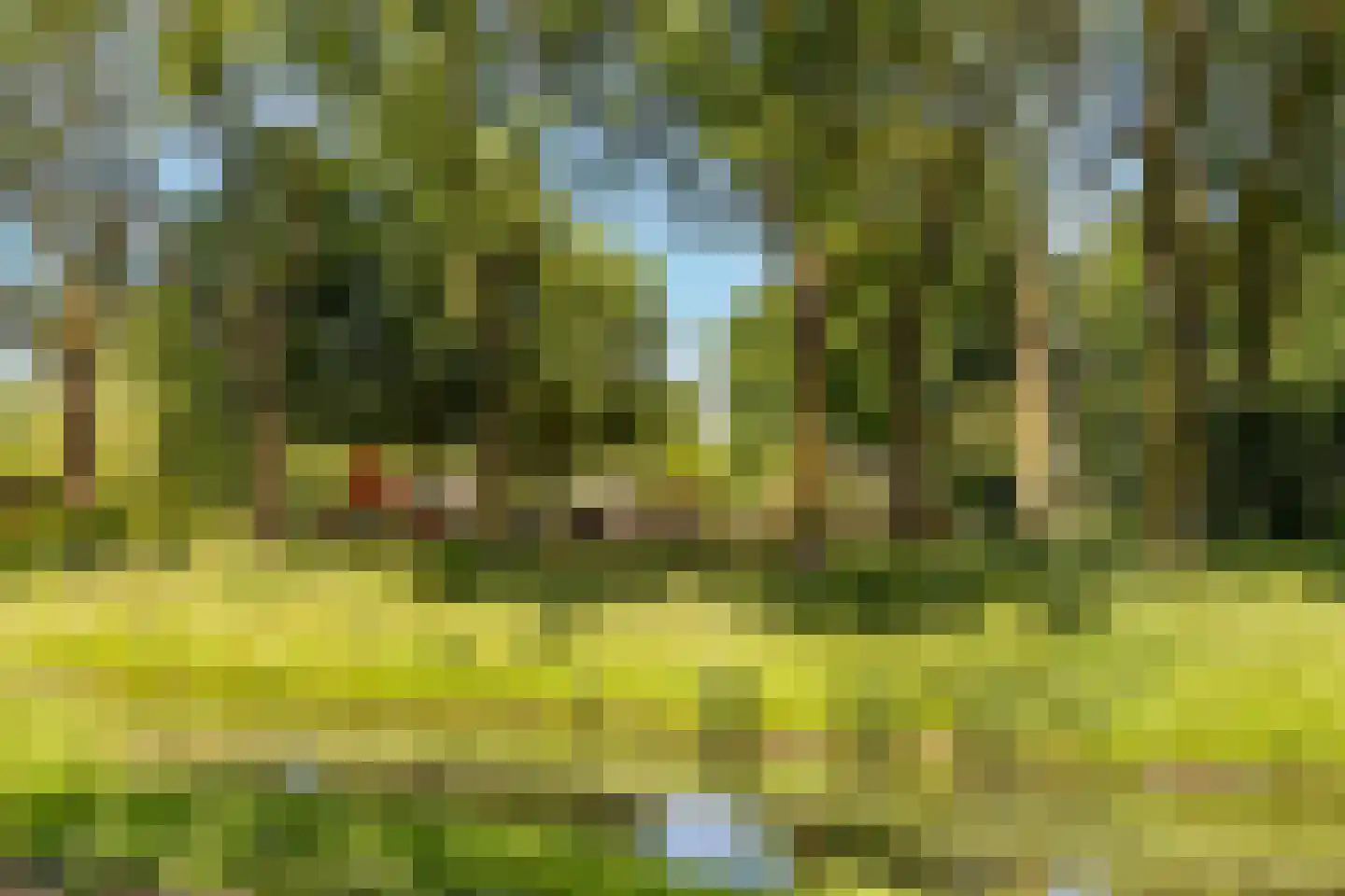 Eendendaal 20 Nieuwerkerk aan den IJssel thumbnail 38