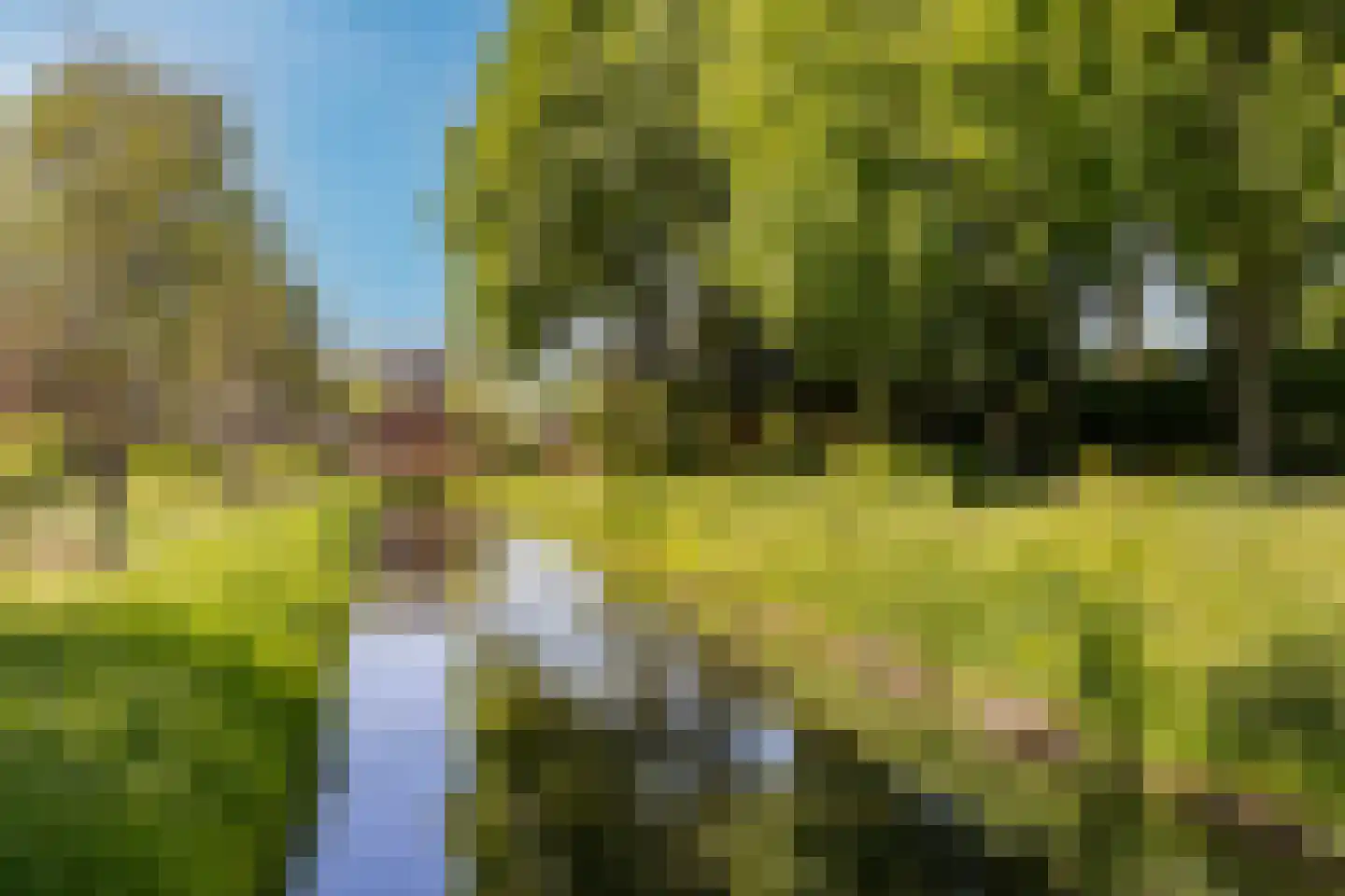 Eendendaal 20 Nieuwerkerk aan den IJssel thumbnail 39