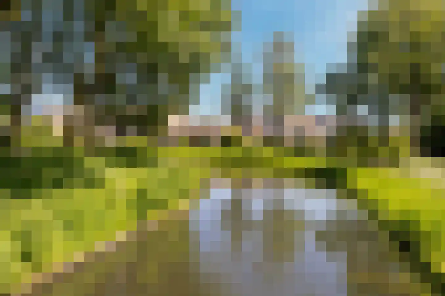Eendendaal 20 Nieuwerkerk aan den IJssel thumbnail 40